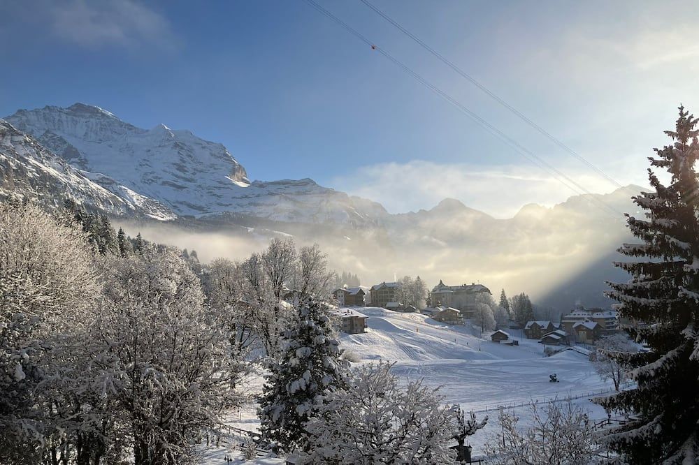 المظهر الخارجي