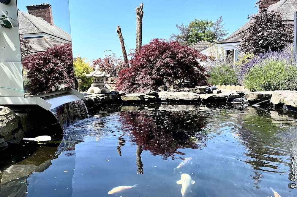 المظهر الخارجي