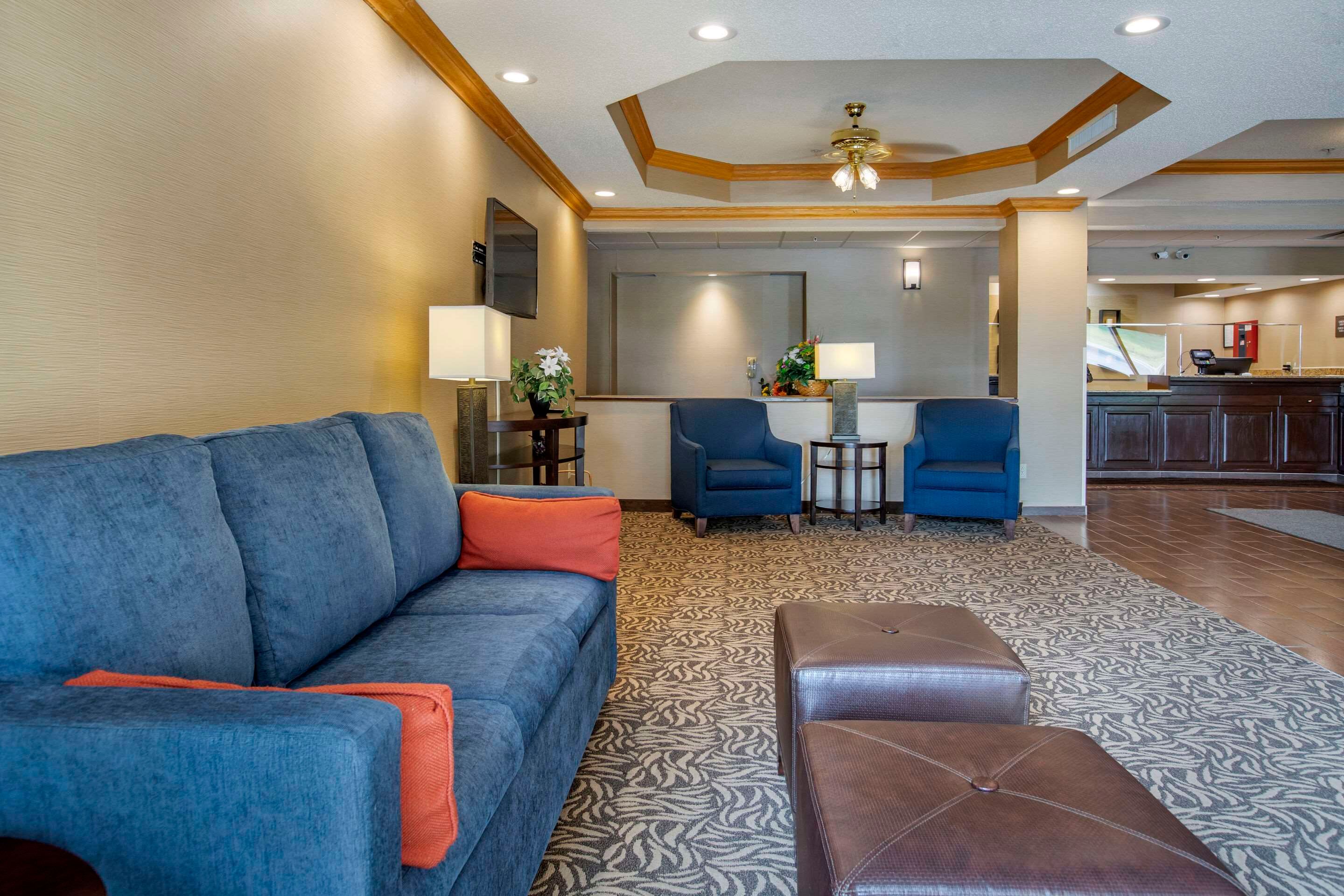 غرفة معيشة صورة