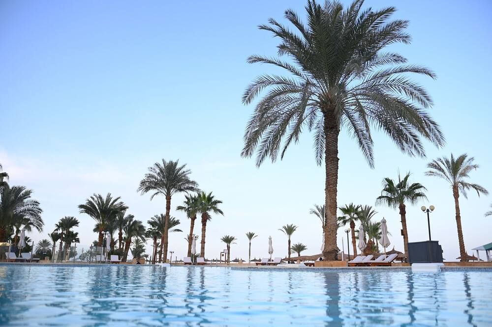 حوض السباحة صورة