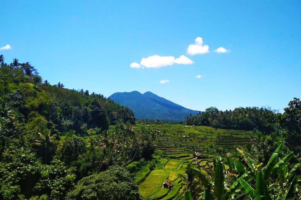 المظهر الخارجي