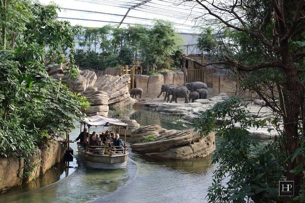 المظهر الخارجي