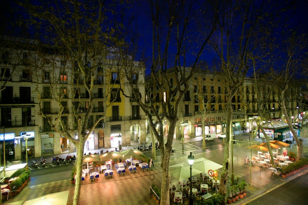 المظهر الخارجي