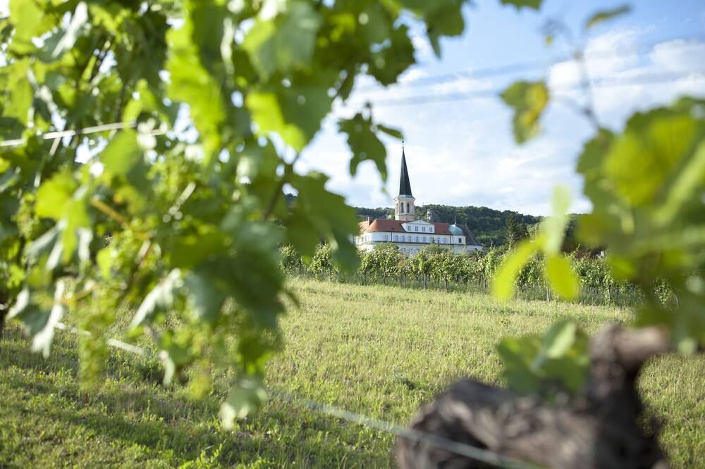 المظهر الخارجي