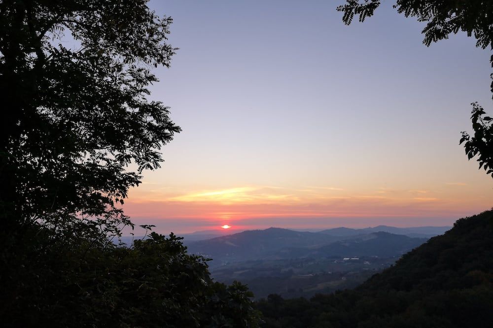 المظهر الخارجي