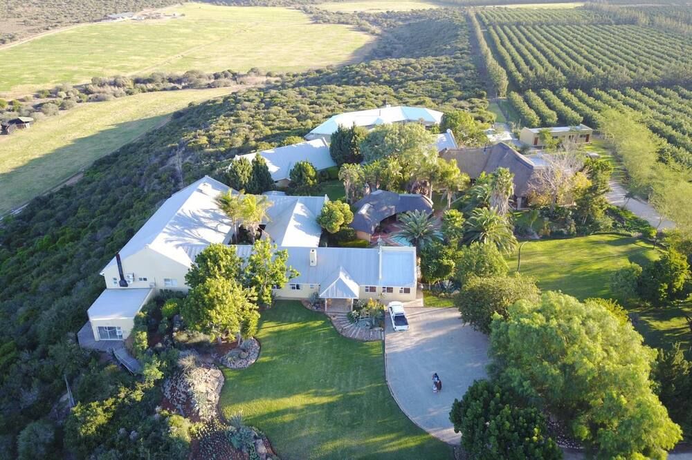 المظهر الخارجي