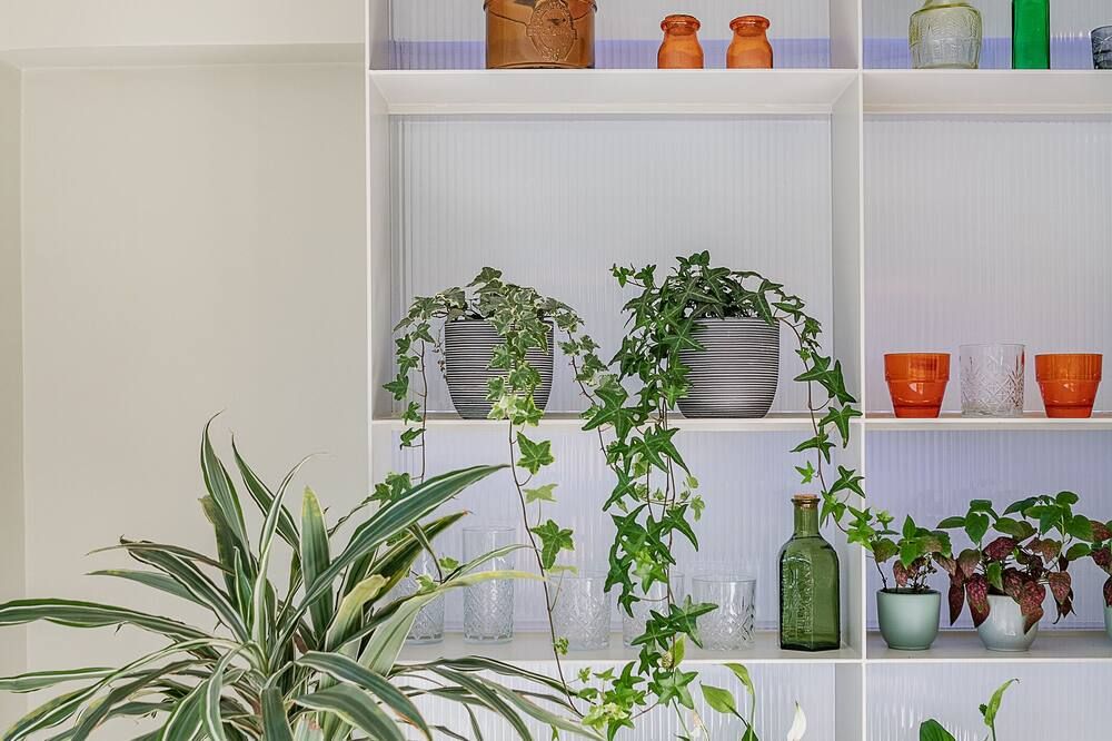 وسائل راحة في الغرف