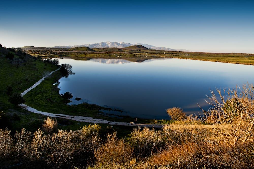 المظهر الخارجي
