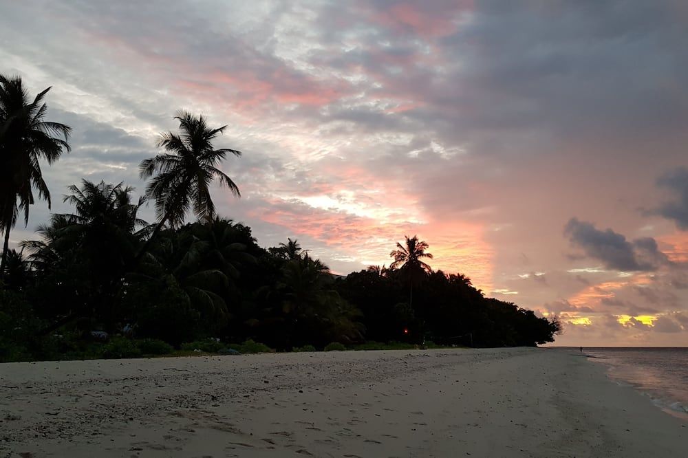 المظهر الخارجي