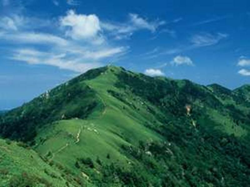 المظهر الخارجي