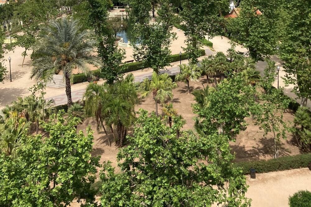 المظهر الخارجي