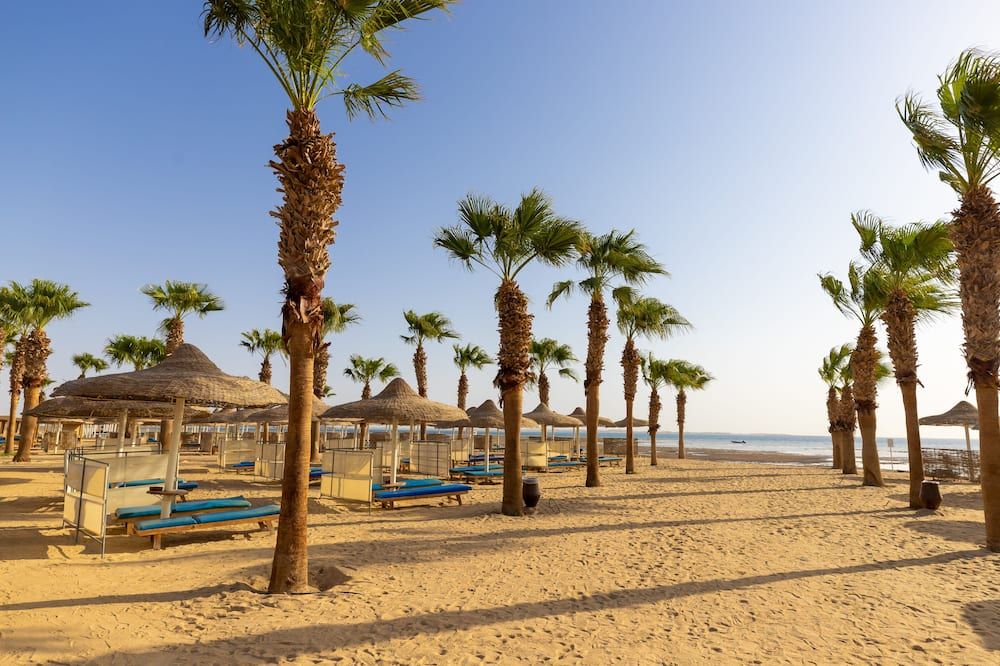 شاطئ صورة