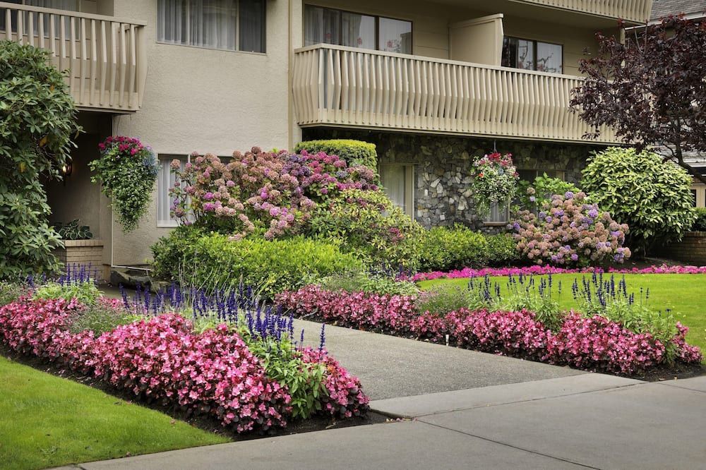 المظهر الخارجي