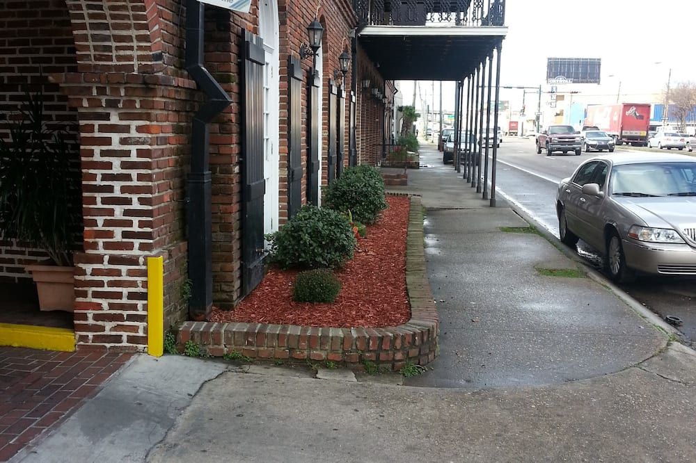 المظهر الخارجي