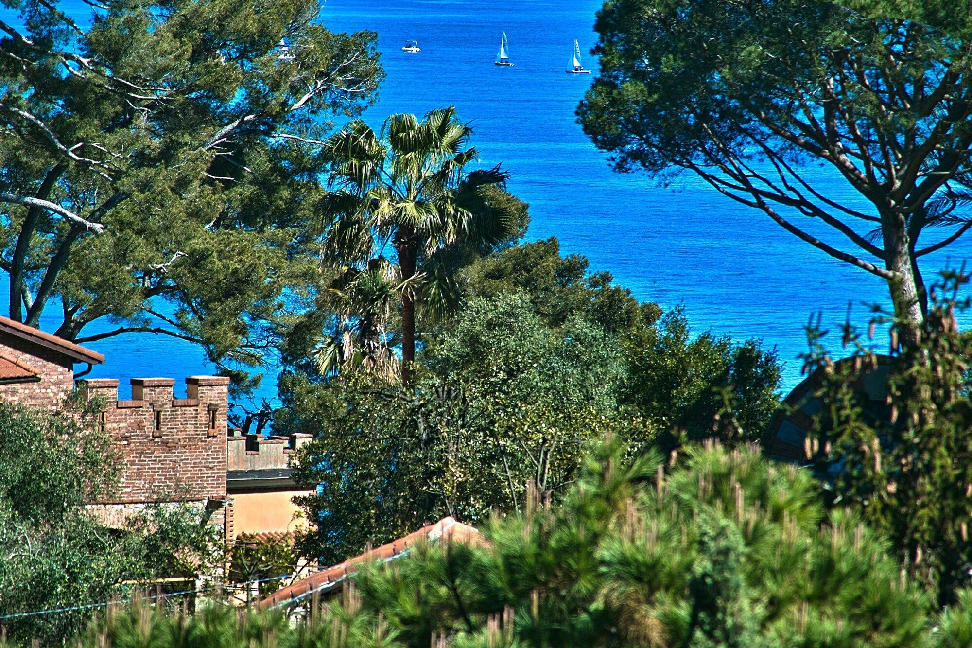 المظهر الخارجي