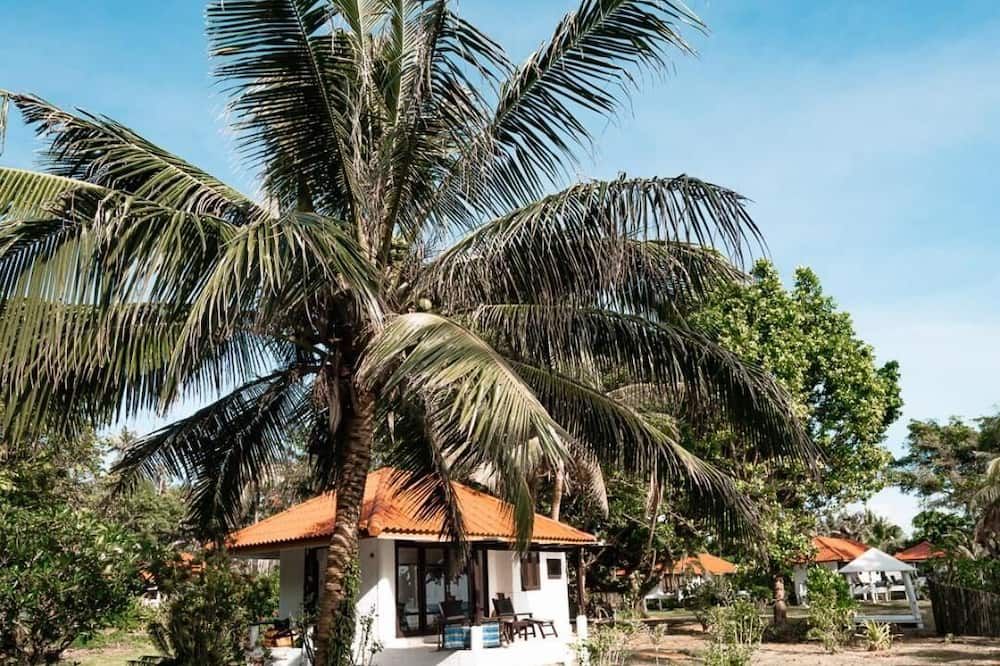 المظهر الخارجي