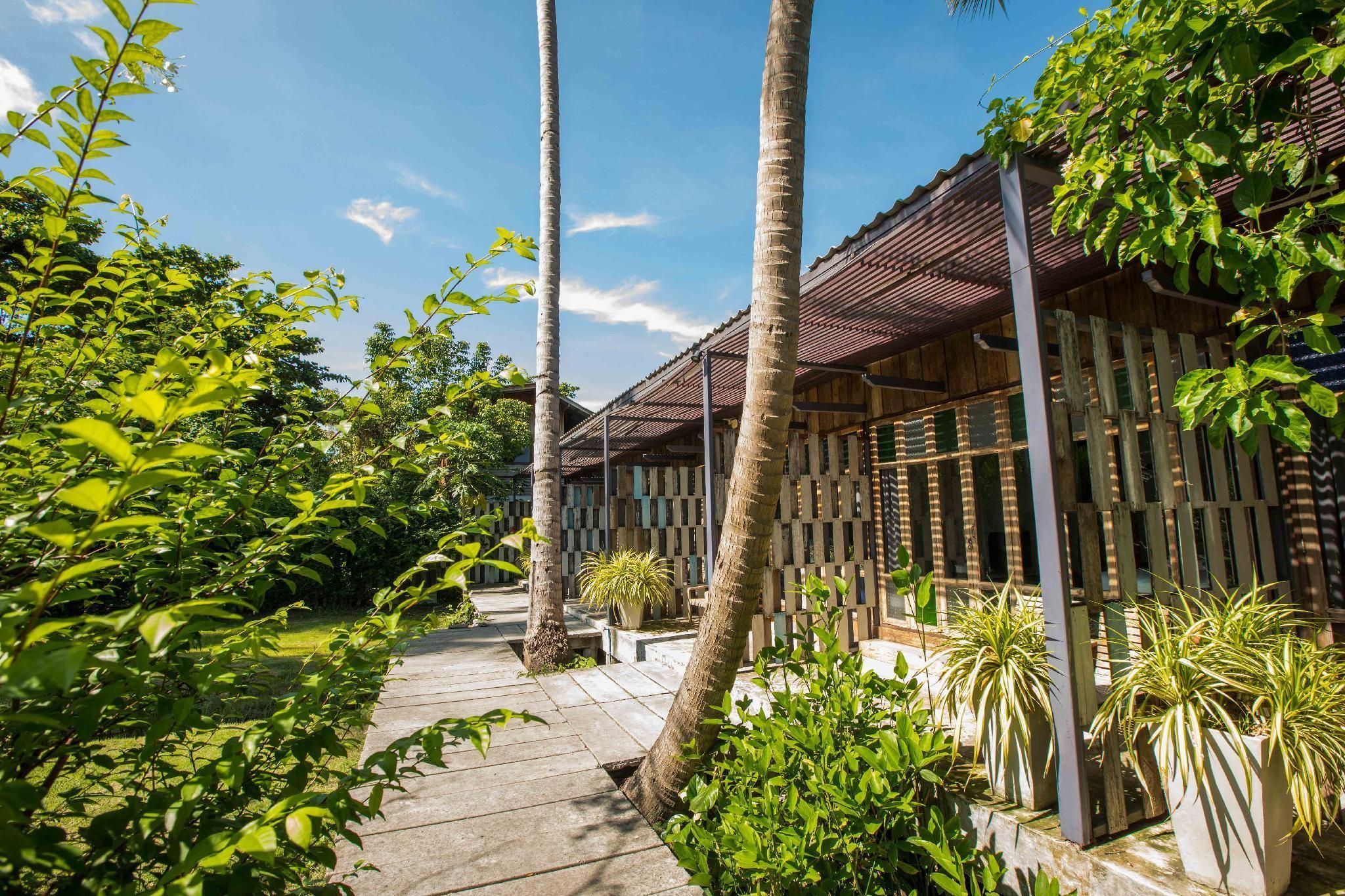 المظهر الخارجي