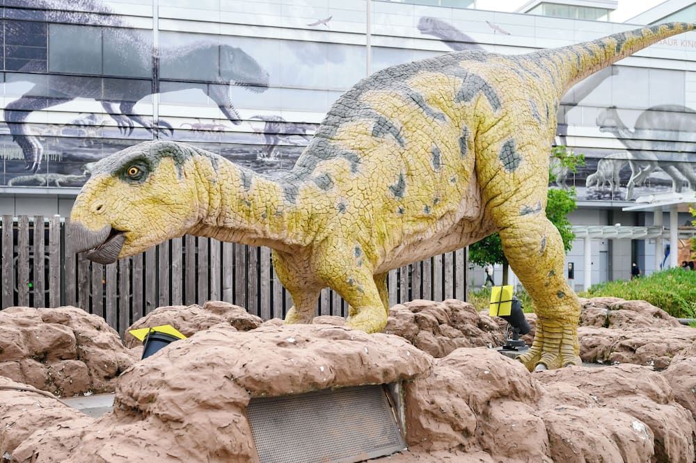 المظهر الخارجي