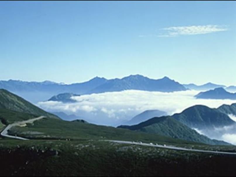 المظهر الخارجي