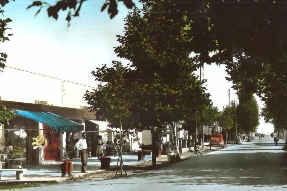 المظهر الخارجي