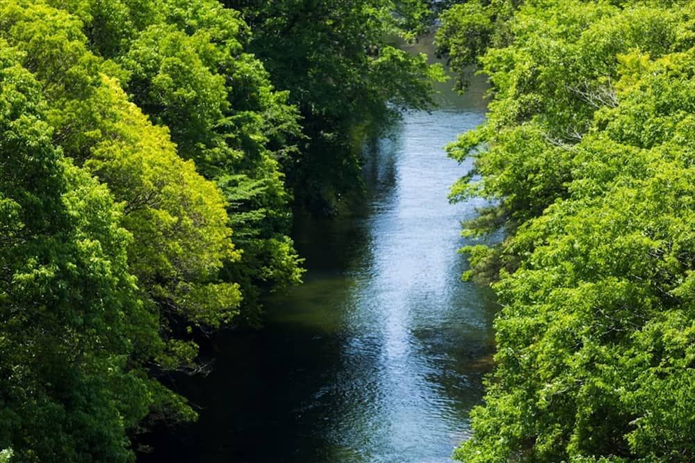 المظهر الخارجي