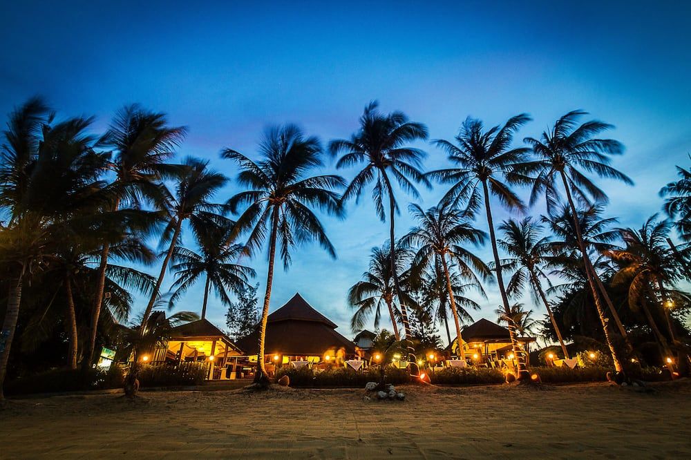 المظهر الخارجي