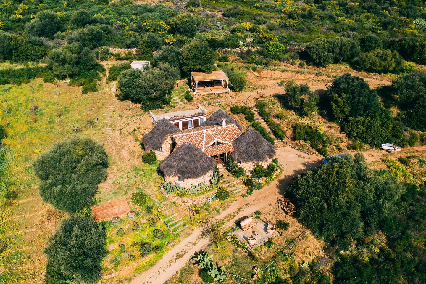 المظهر الخارجي