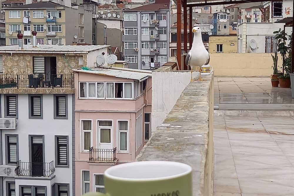 المظهر الخارجي