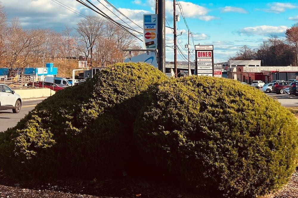 المظهر الخارجي