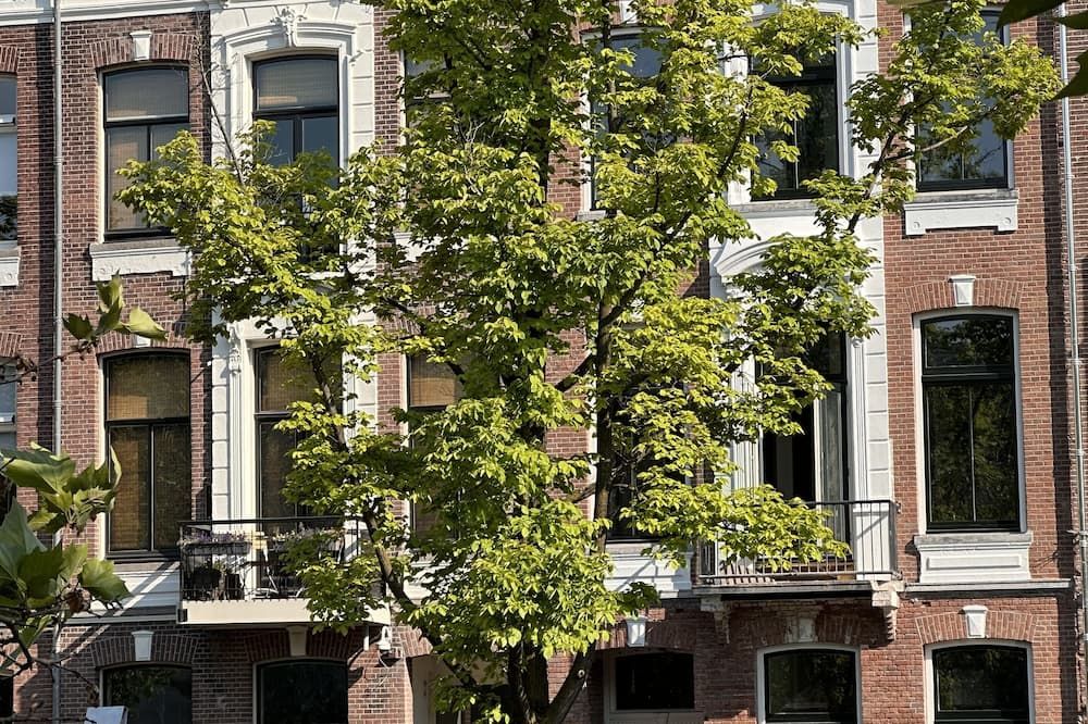 المظهر الخارجي