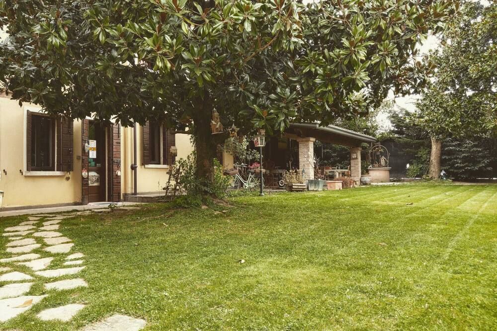 المظهر الخارجي