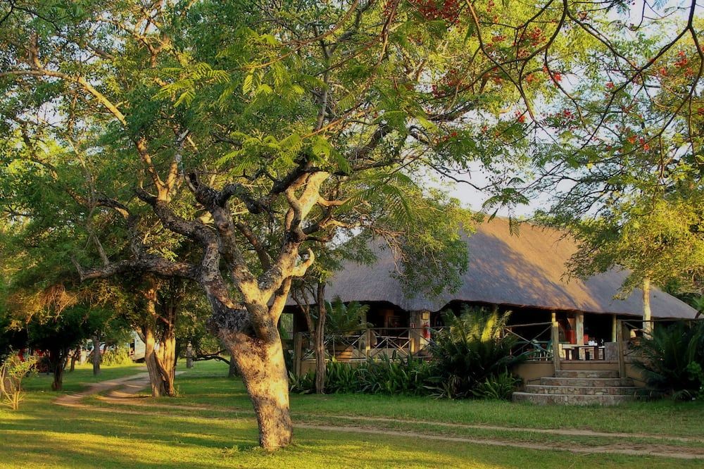 المظهر الخارجي