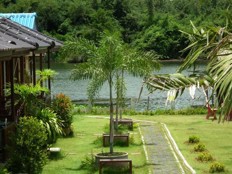 المظهر الخارجي