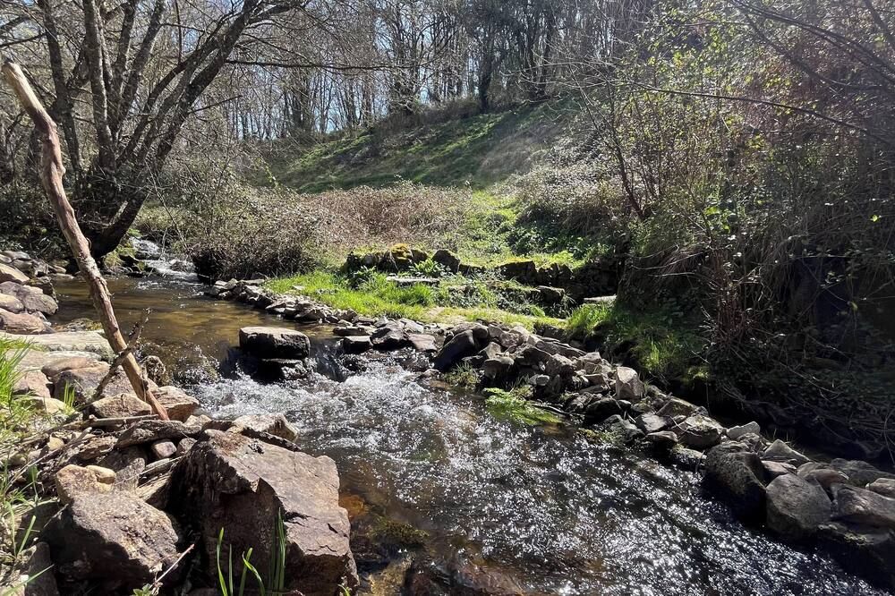 المظهر الخارجي