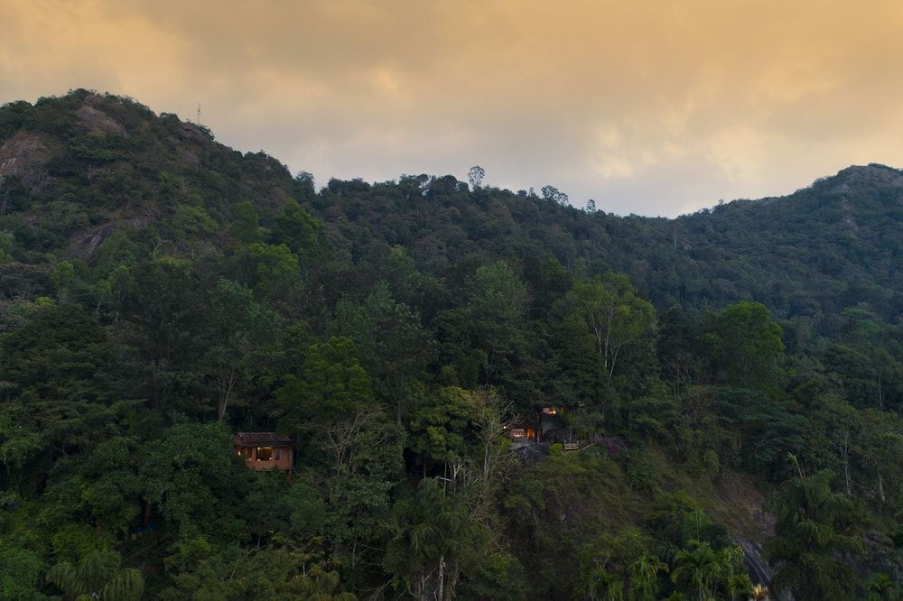 المظهر الخارجي