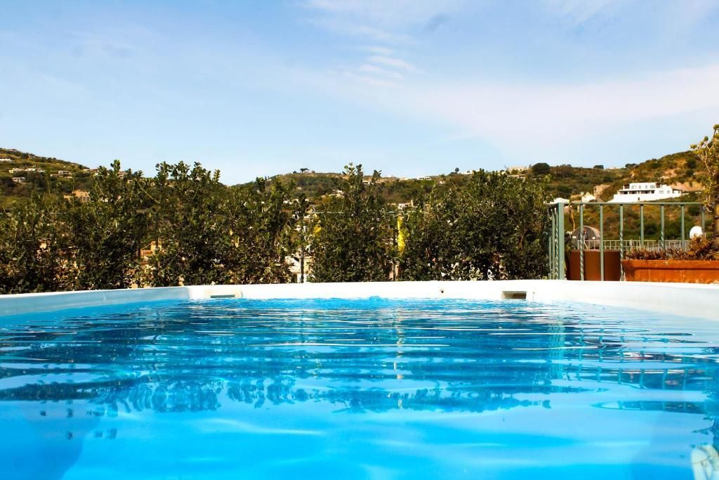 حوض السباحة صورة