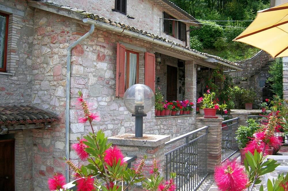 المظهر الخارجي