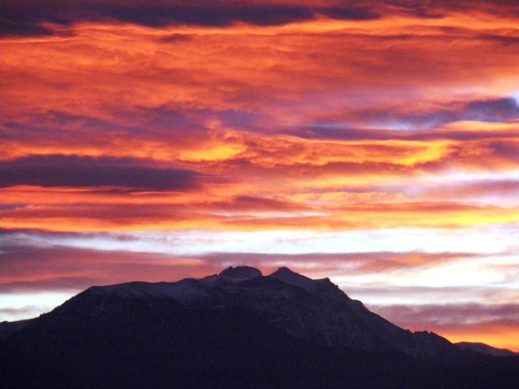 المظهر الخارجي