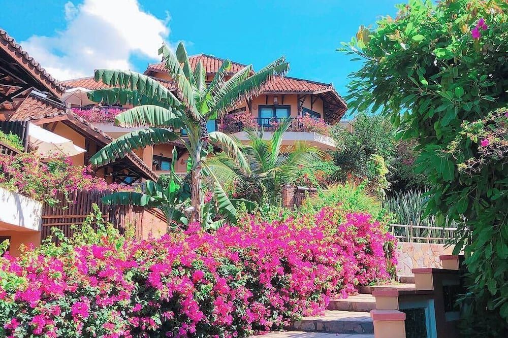 المظهر الخارجي
