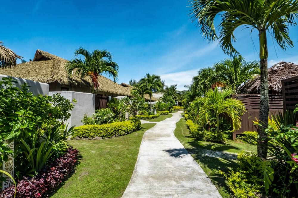 المظهر الخارجي