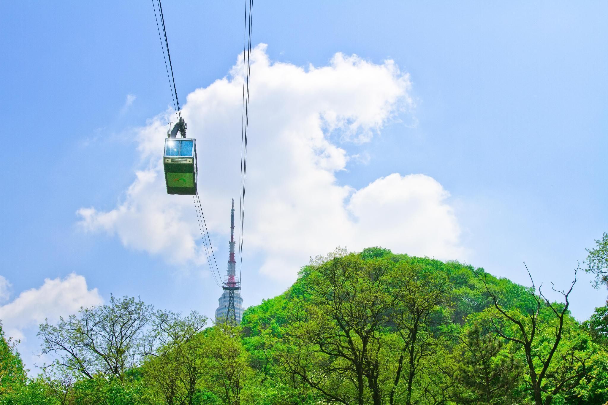 المظهر الخارجي