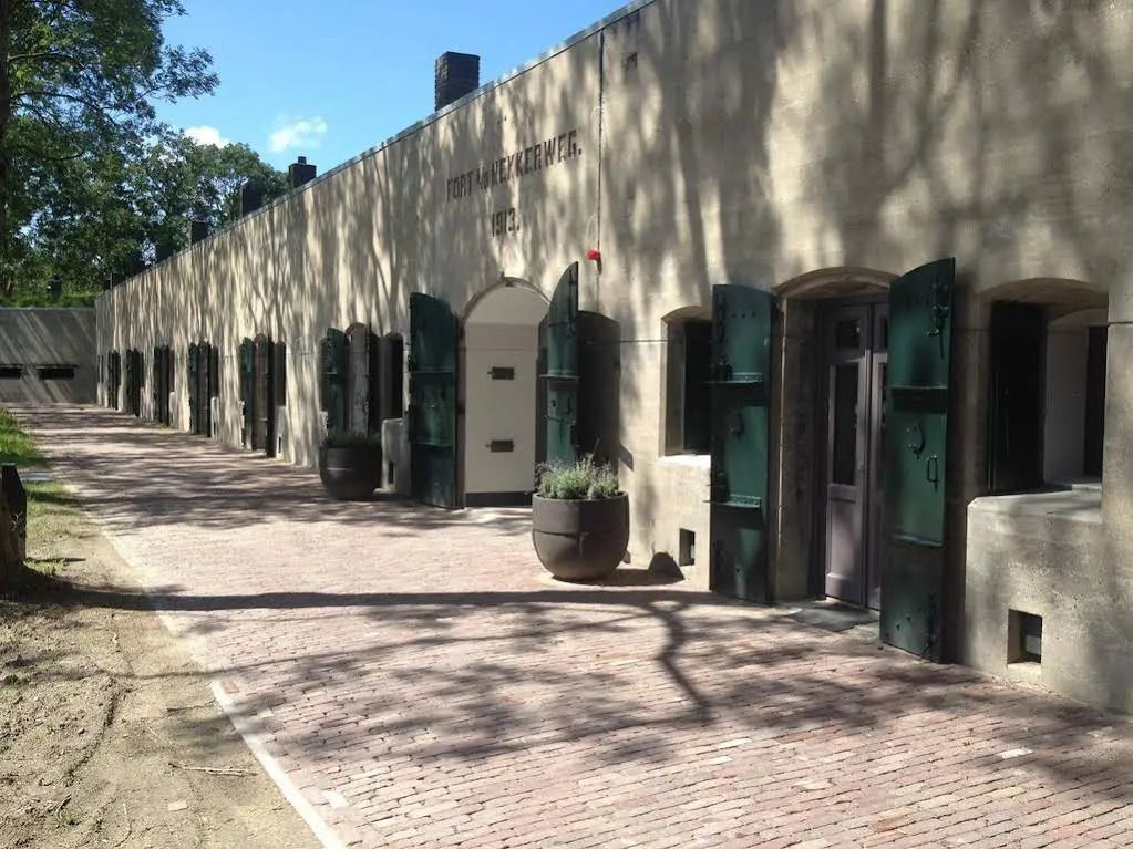 المظهر الخارجي