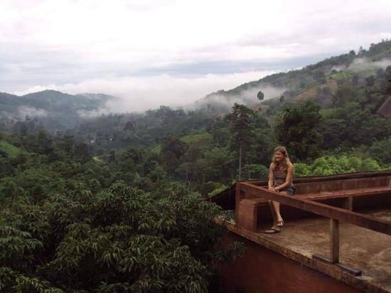 المظهر الخارجي