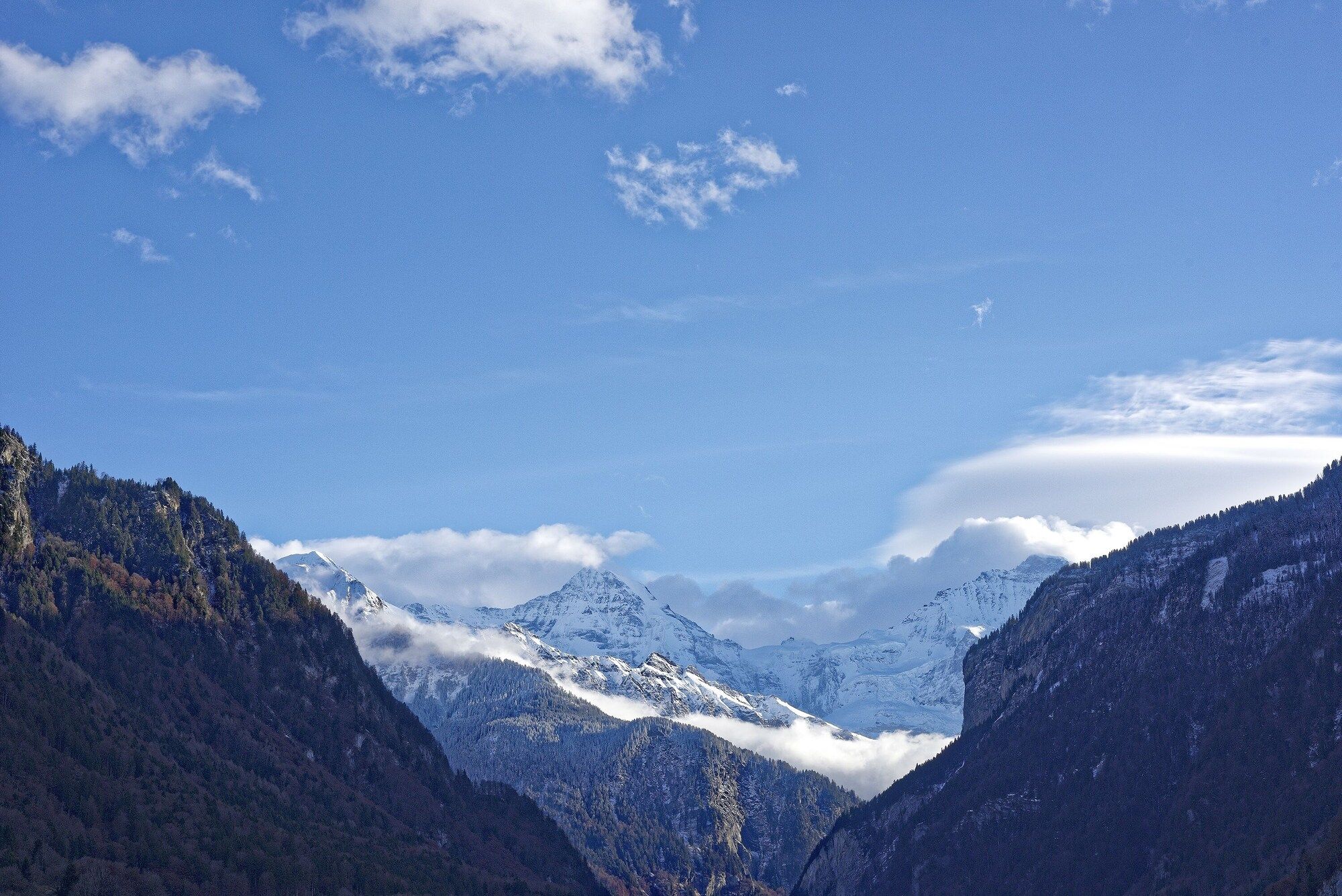 المظهر الخارجي