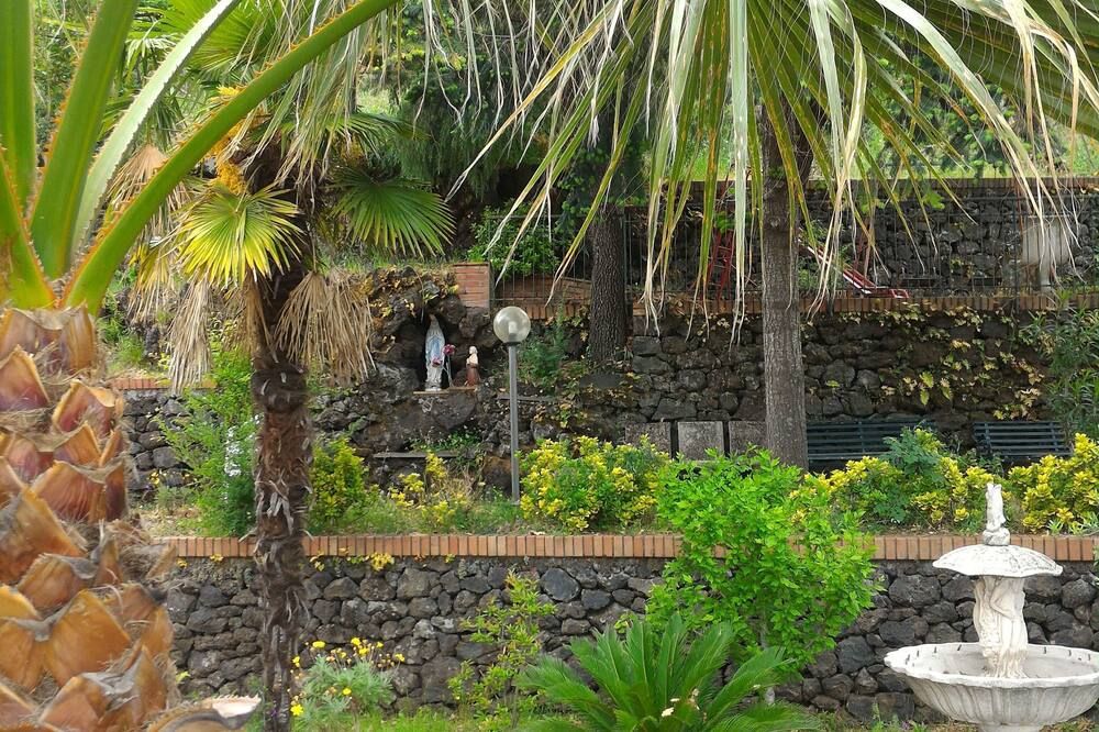 المظهر الخارجي