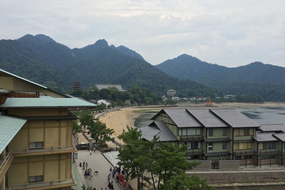 المظهر الخارجي