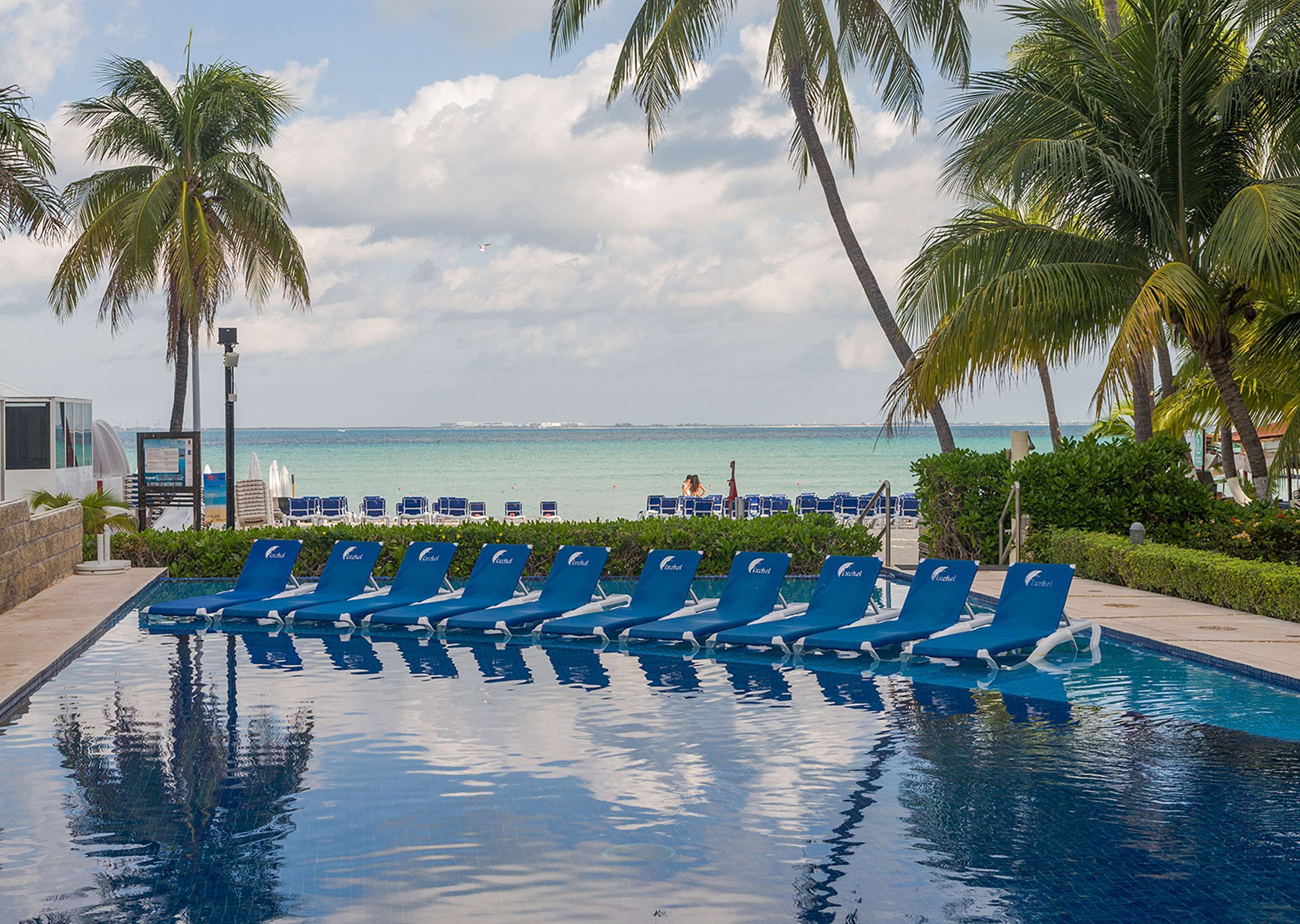 حوض السباحة