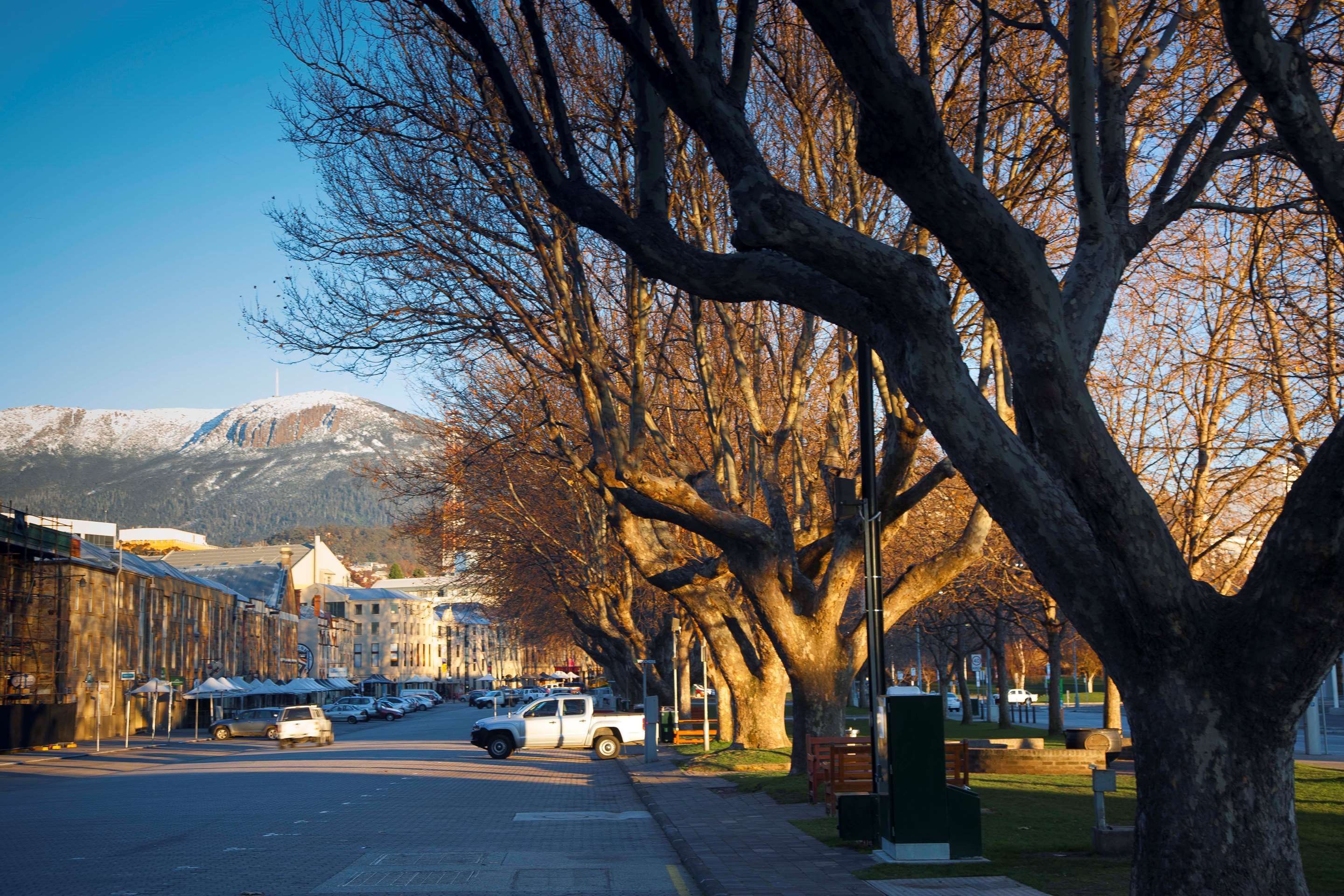 المظهر الخارجي