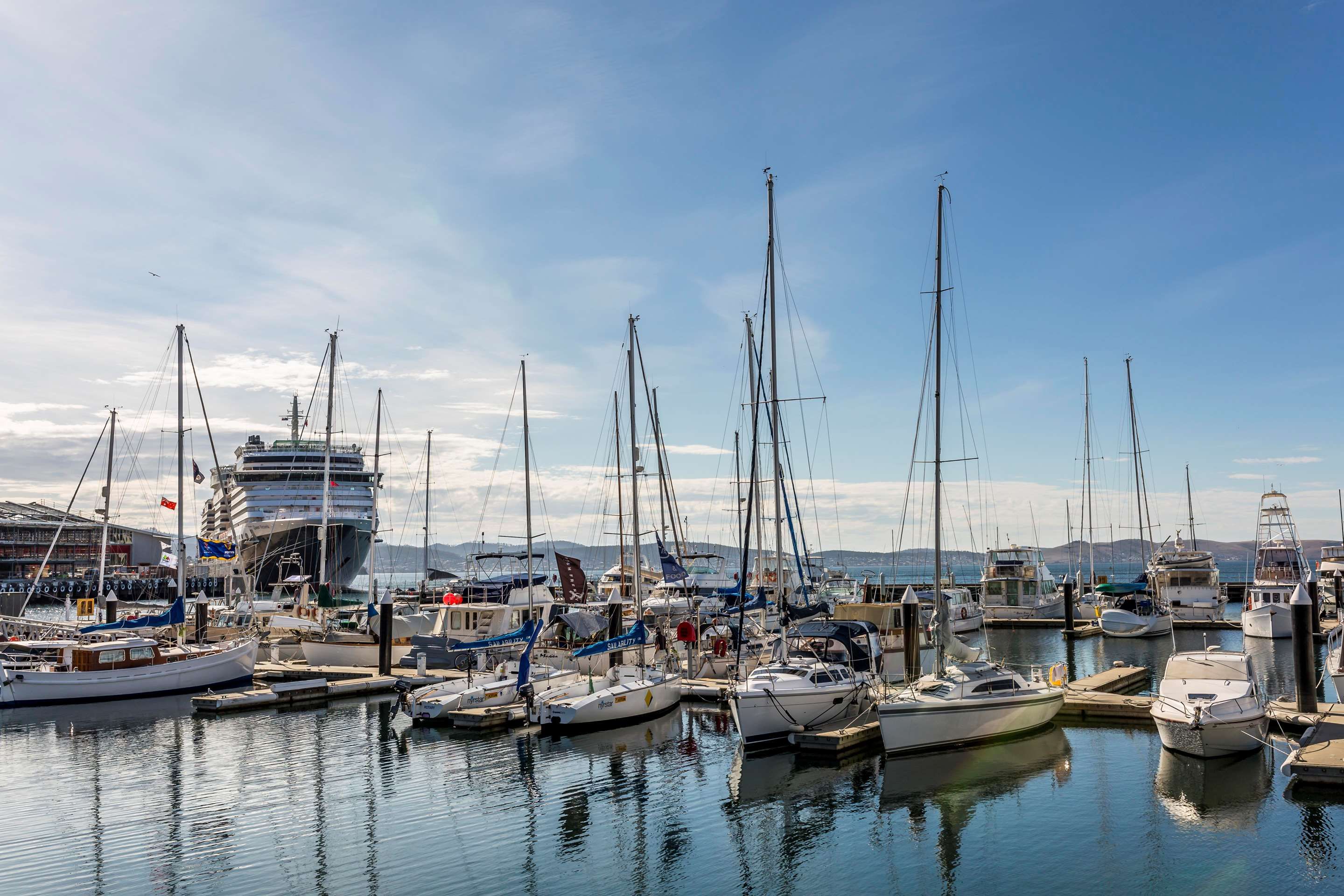 المظهر الخارجي