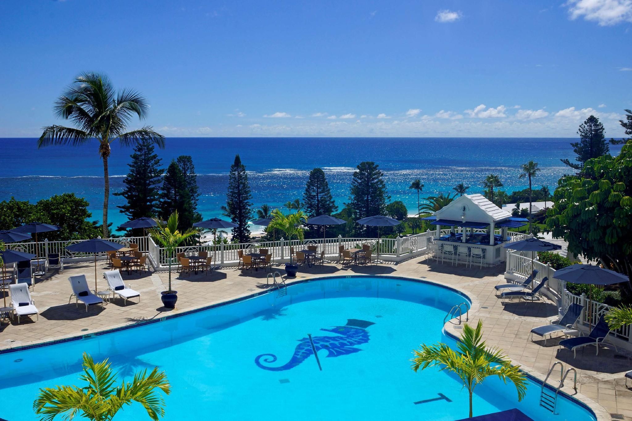 حوض السباحة صورة